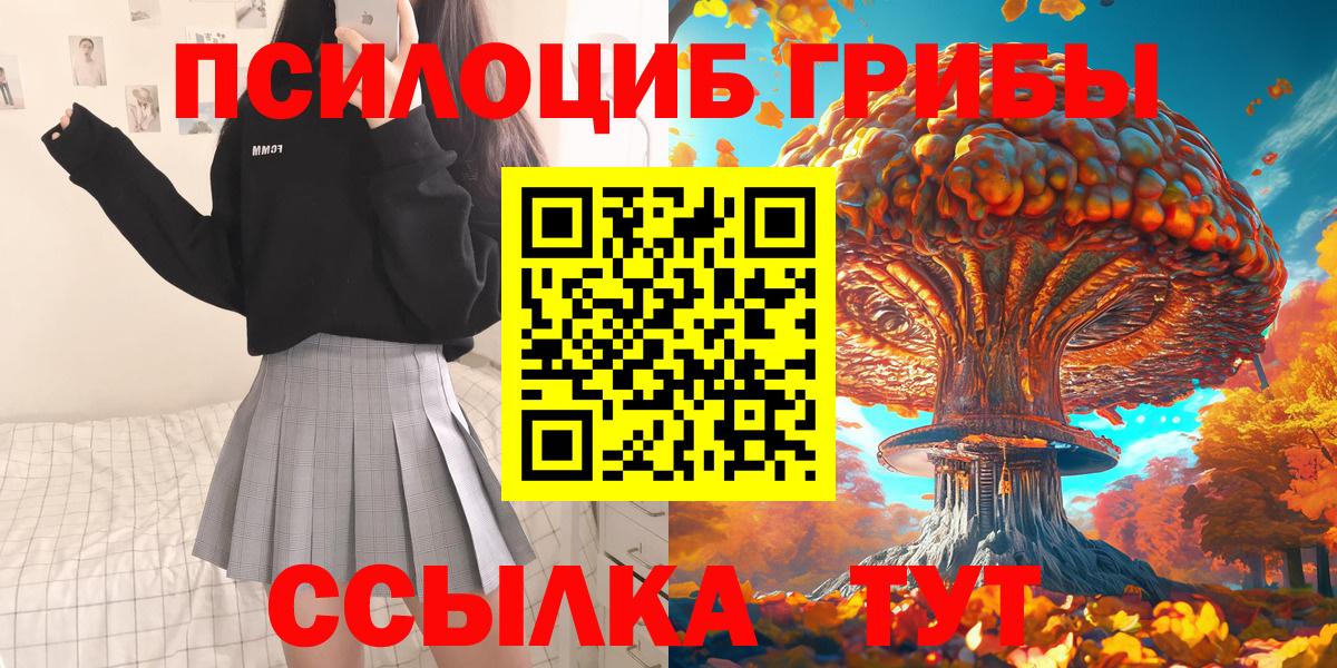Псилоцибиновые грибы Psilocybine cubensis Таганрог