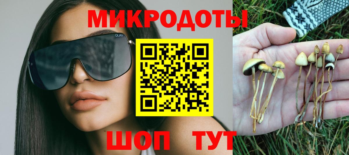 Таганрог  Псилоцибиновые грибы MAGIC MUSHROOMS  Вход с VPN 