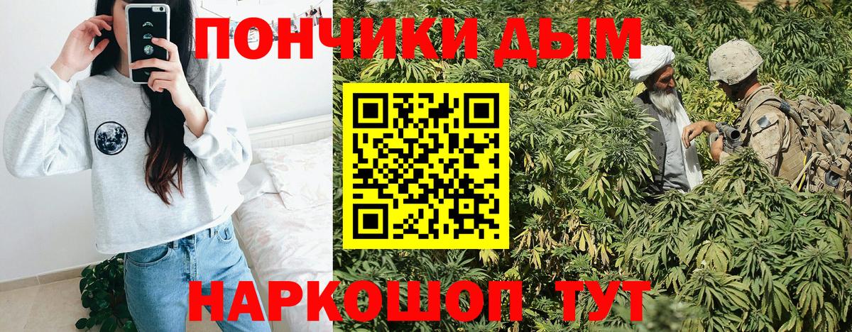 Канабис SATIVA & INDICA Таганрог